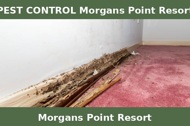 PEST CONTROL Morgans Point Resort